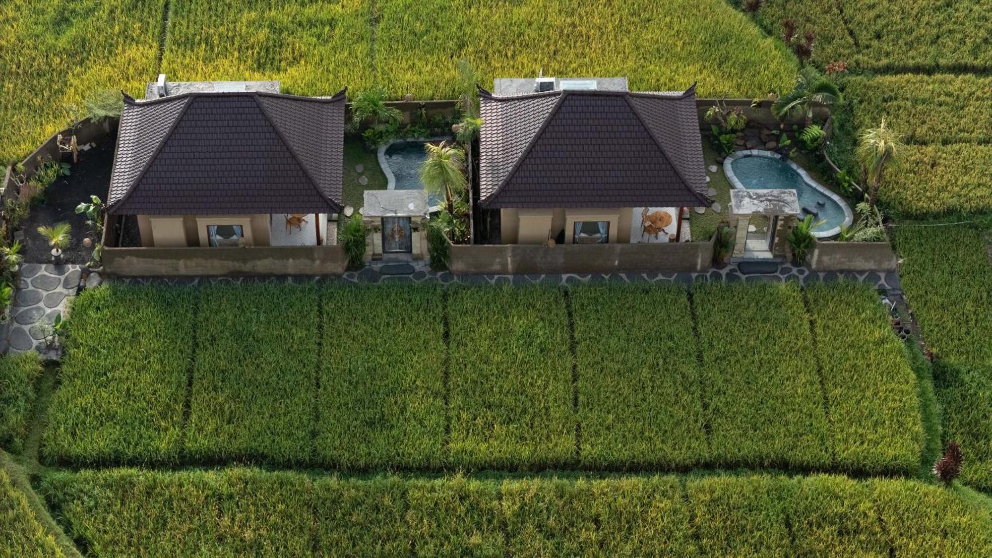Sawah Sebatu Villa Убуд Экстерьер фото