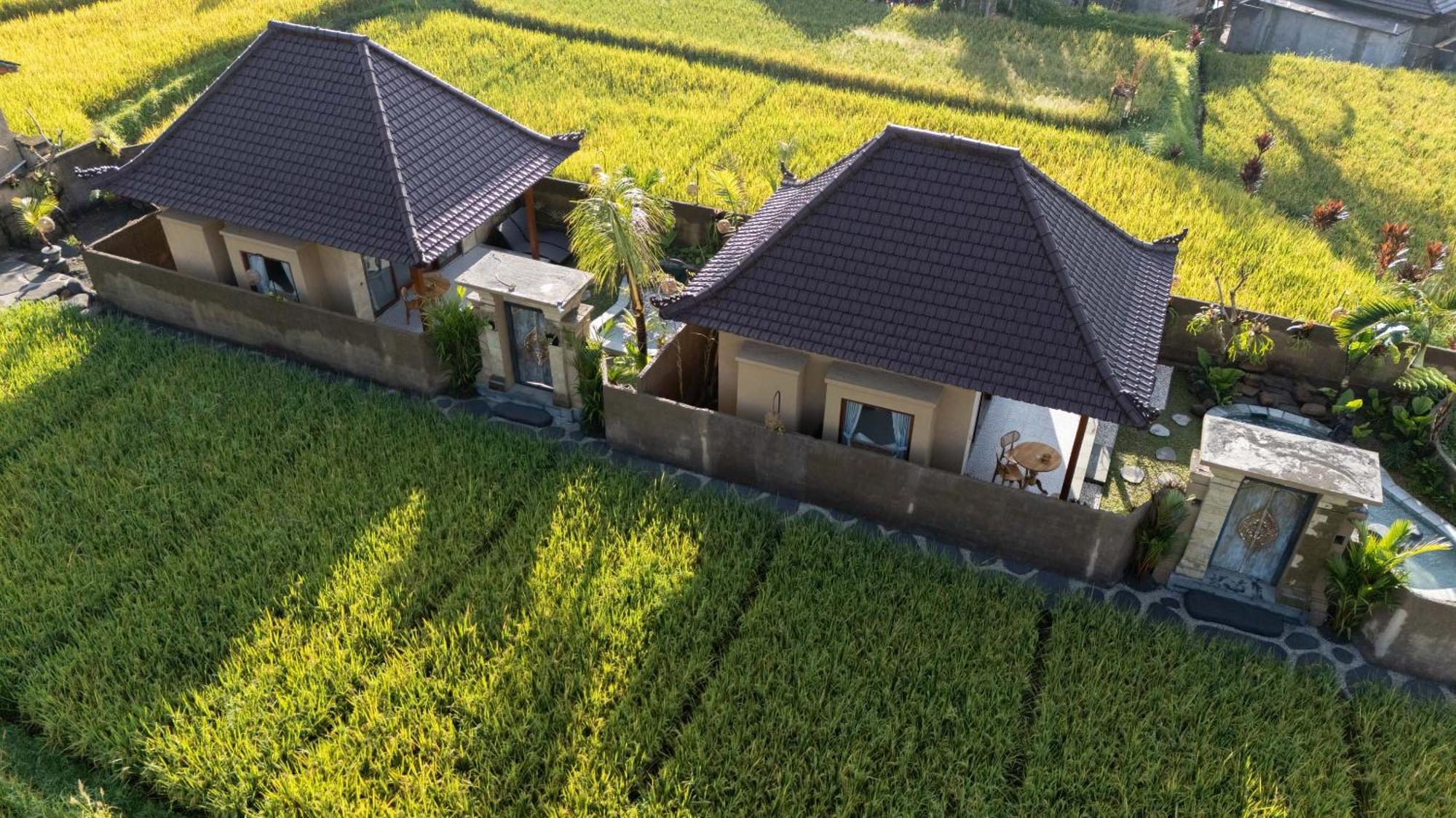 Sawah Sebatu Villa Убуд Экстерьер фото