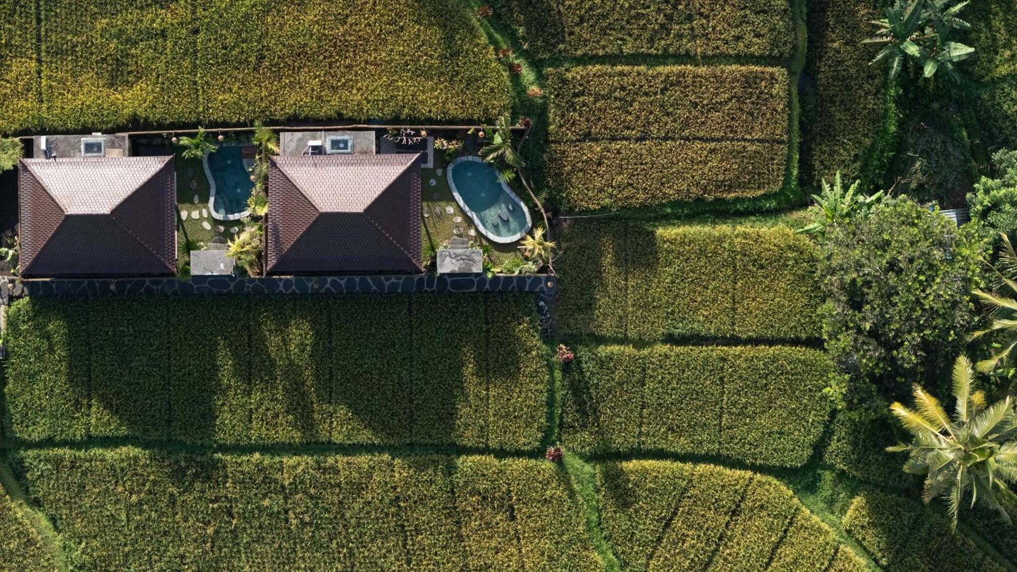 Sawah Sebatu Villa Убуд Экстерьер фото