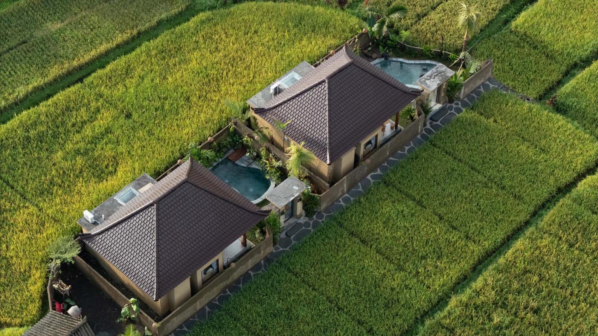 Sawah Sebatu Villa Убуд Экстерьер фото